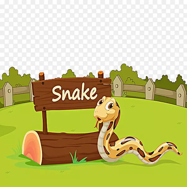 用于儿童的Python项目，Amazon.com，用于儿童的python，用于虚拟人的，开始于python-一条小蛇