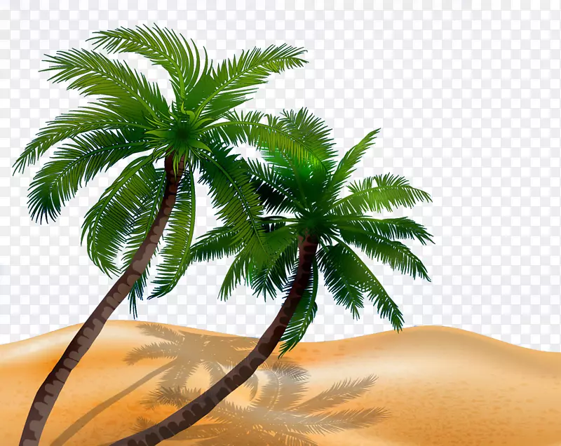 槟榔科树木轮廓图-海滩椰树
