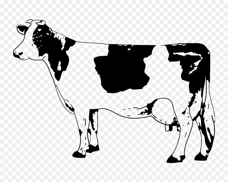 安格斯牛犊剪贴画-素描牛