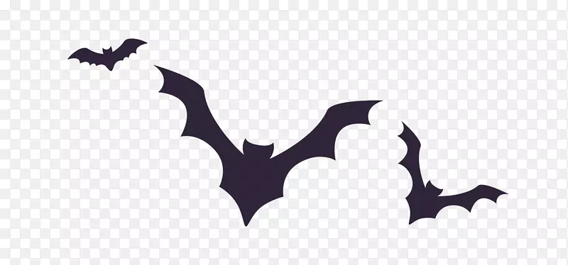 万圣节插图-黑色蝙蝠