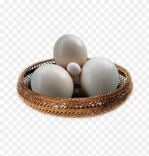 普通鸵鸟煎蛋鸡火腿蛋鸵鸟蛋