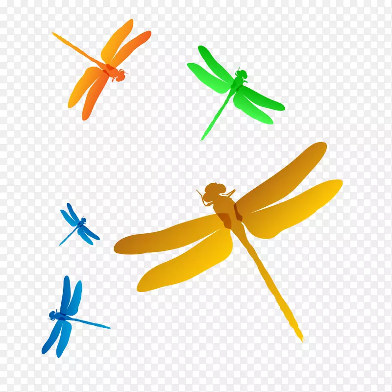 彩色蜻蜓剪贴画彩色蜻蜓