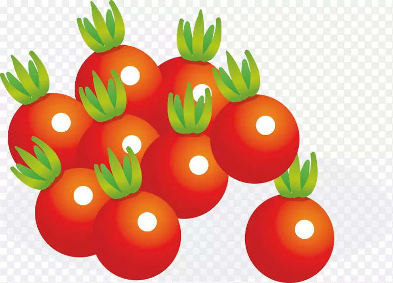 樱桃番茄汁蔬菜水果柿子载体材料
