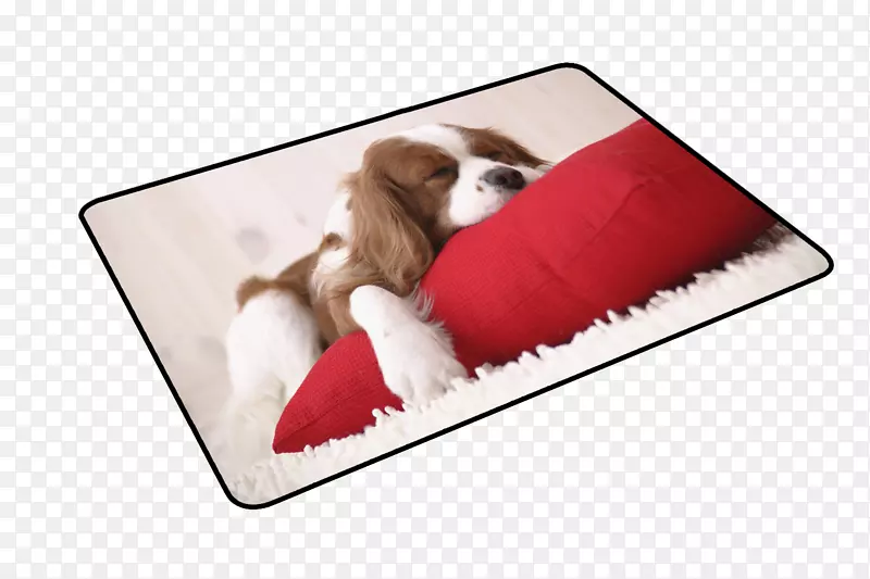 电脑鼠标垫纸垫动物桌垫材料
