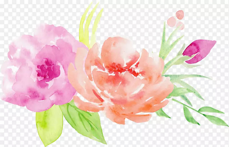 水彩画花束插图.玫瑰花束装饰图案