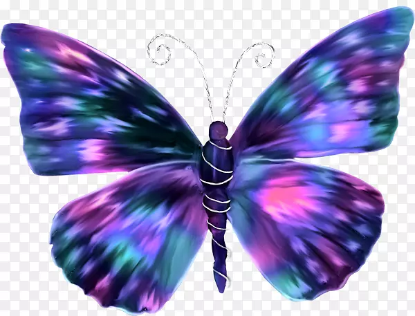 彩色蝴蝶，昆虫纸，颜色-凉爽的蝴蝶