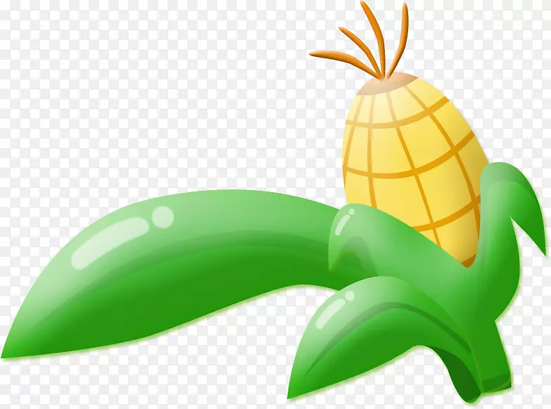 玉米剪贴画-玉米