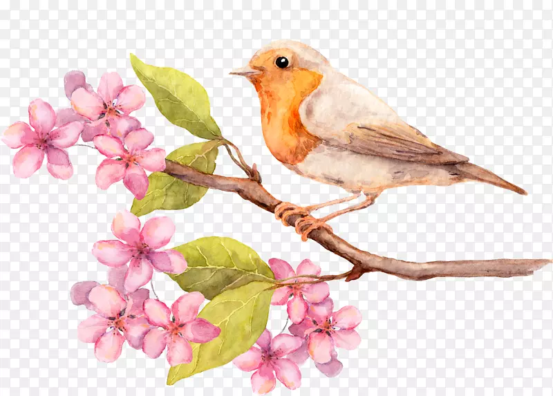 贺卡花水彩画生日-美丽的小鸟娇嫩的桃花