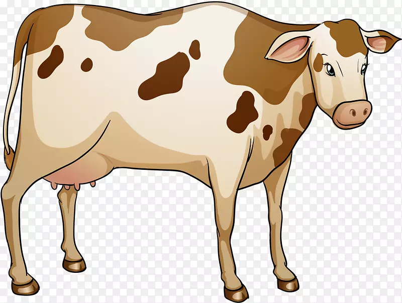 乳牛插图-花牛