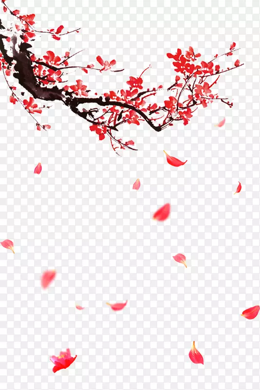 花-美丽的花瓣飘落