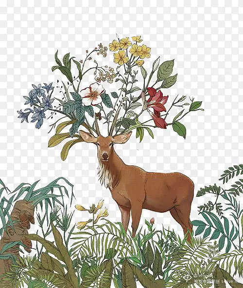 马鹿麋鹿漆棕色山羊戴着一朵花