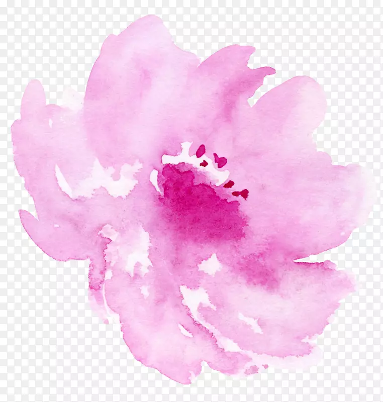 水彩：花卉水彩画插图.墨水粉红花卉元素