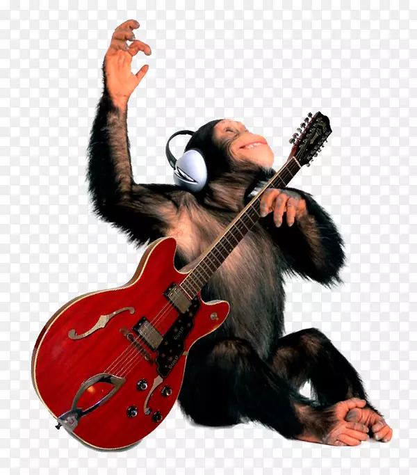扶手吉他扩音器吉布森es-335猴子-一只大猩猩