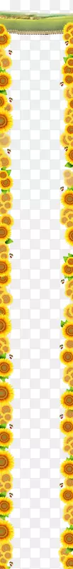 黄色区域角图案-向日葵边缘