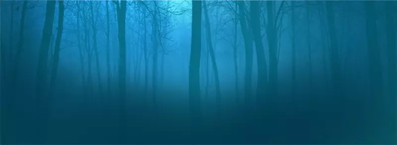 蓝色绿松石墙纸-森林背景