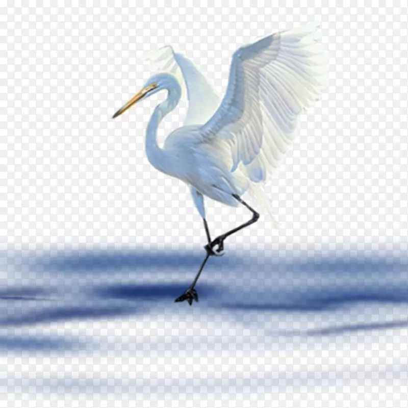 鸟夹艺术-湖鹤