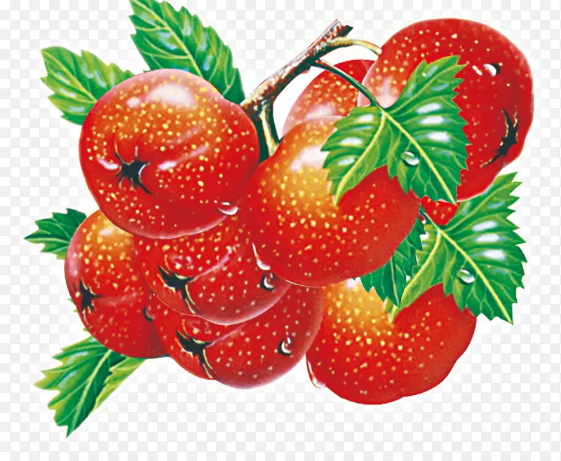 草莓辅食蔬菜樱桃