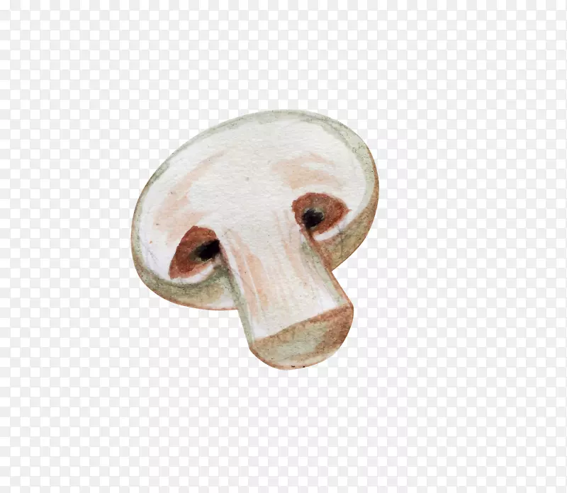 香菇手绘蘑菇