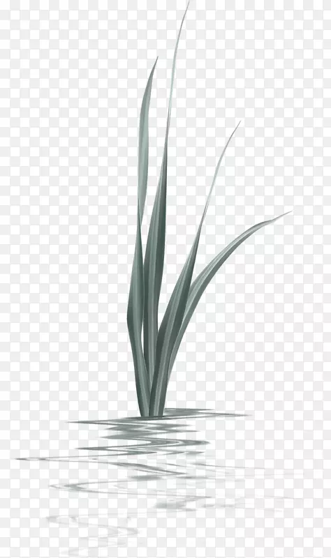 水生植物.灰色、绿色、简单的草装饰图案