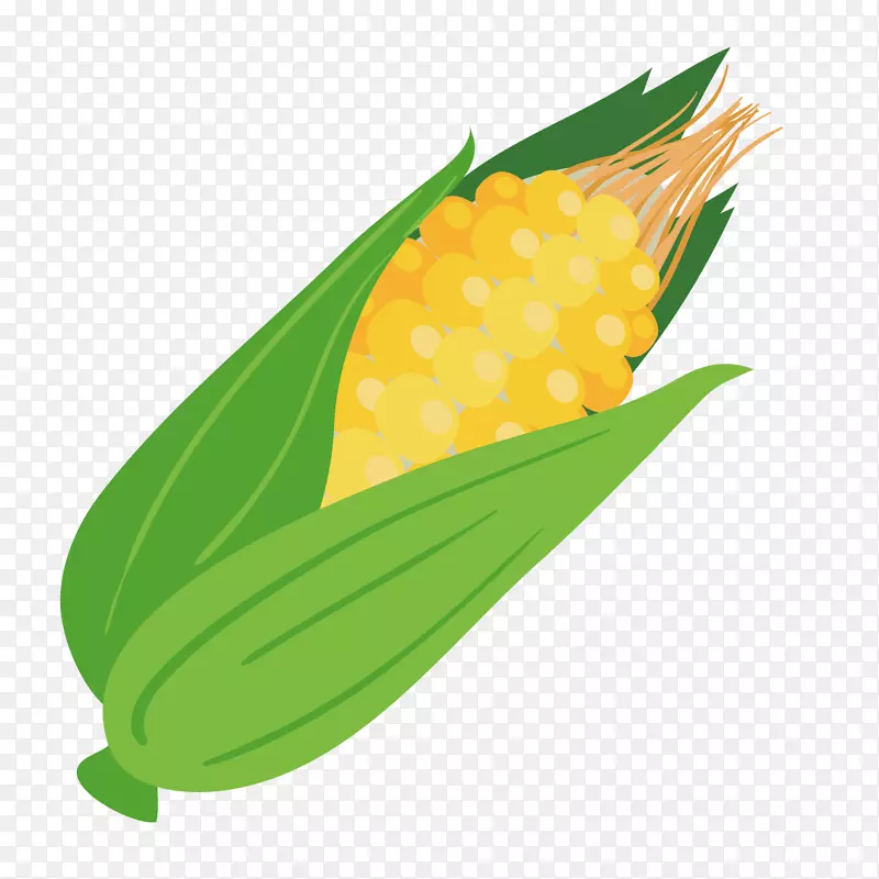 玉米上的玉米计算机文件-载体玉米