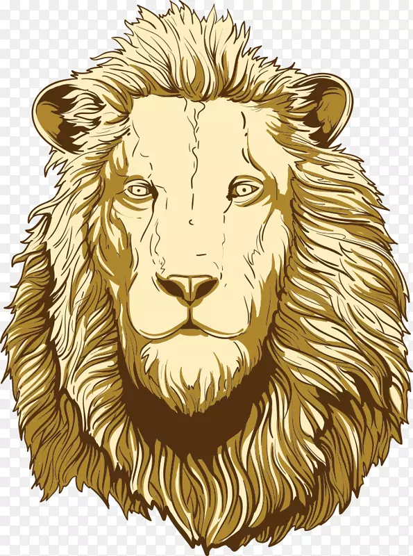 狮子头插图-狮头
