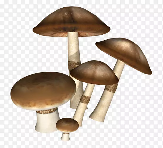 图标-黑蘑菇