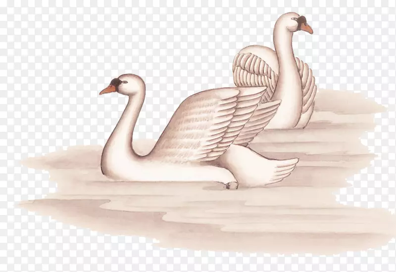 苏尼尼画水墨画艺术手绘白天鹅