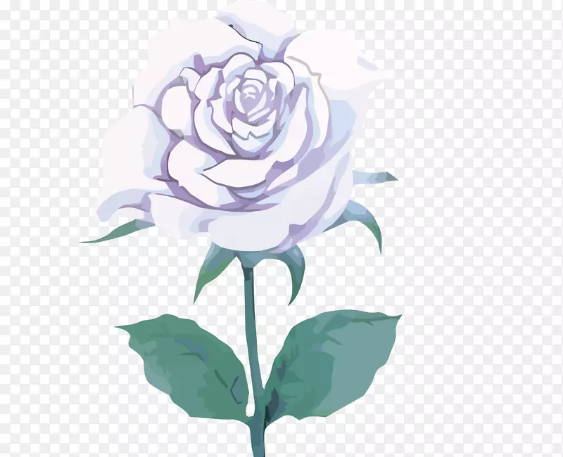 图标-白玫瑰