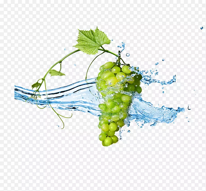 葡萄砧木摄影水果浆果墙纸绿色葡萄