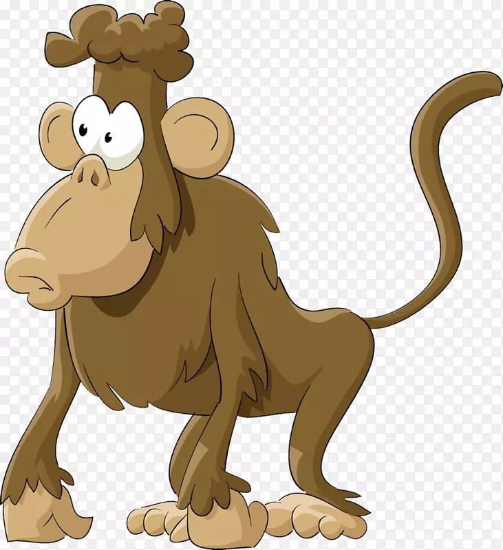 山毛榉狒狒猴剪贴画-大猩猩
