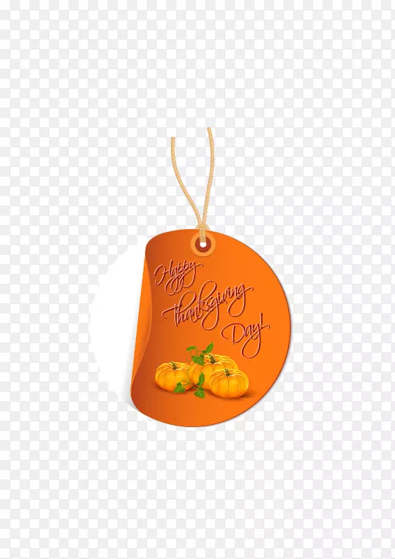 橙色水果字体-感恩节装饰品