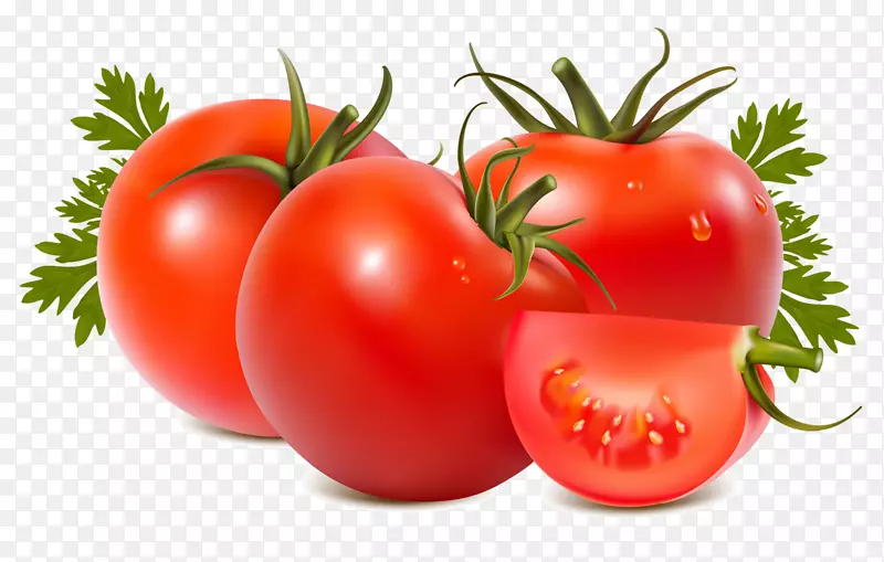 罗马番茄食品牛排番茄剪贴画-番茄