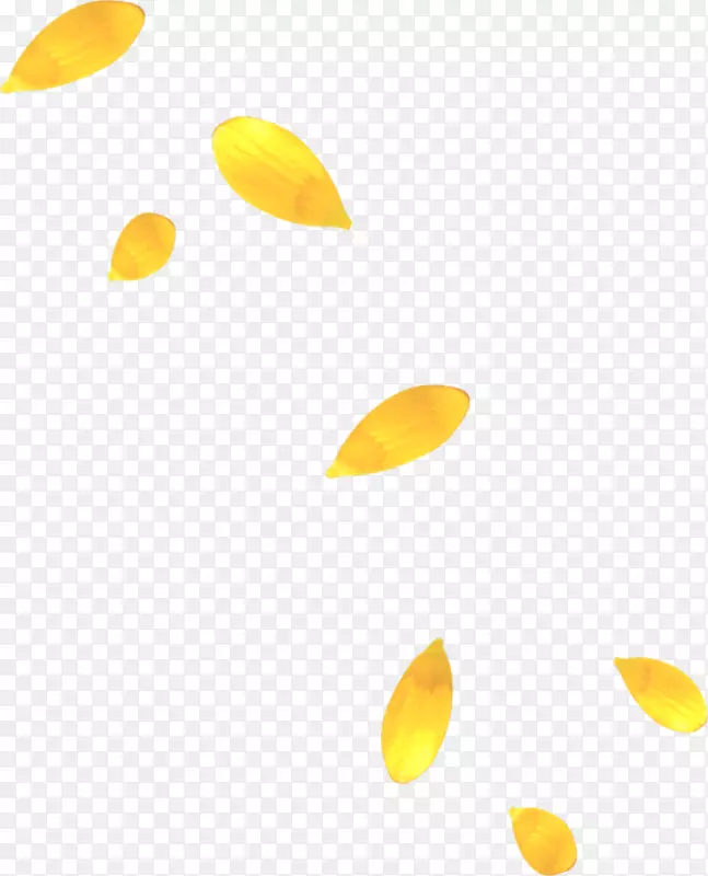 花瓣黄色剪贴画-秋叶