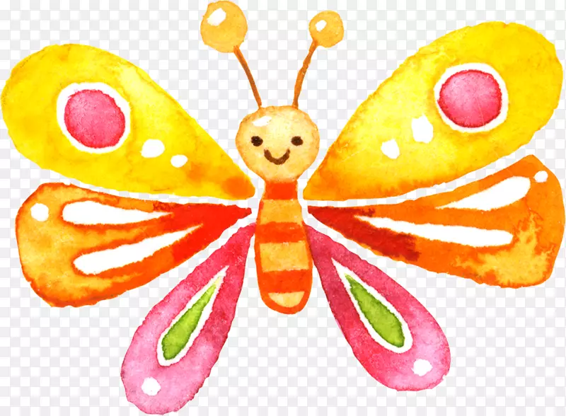 蝴蝶象形科昆虫插图.手绘卡通蝴蝶