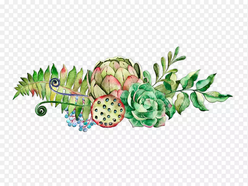 多汁植物海报水彩画-莲花淋浴