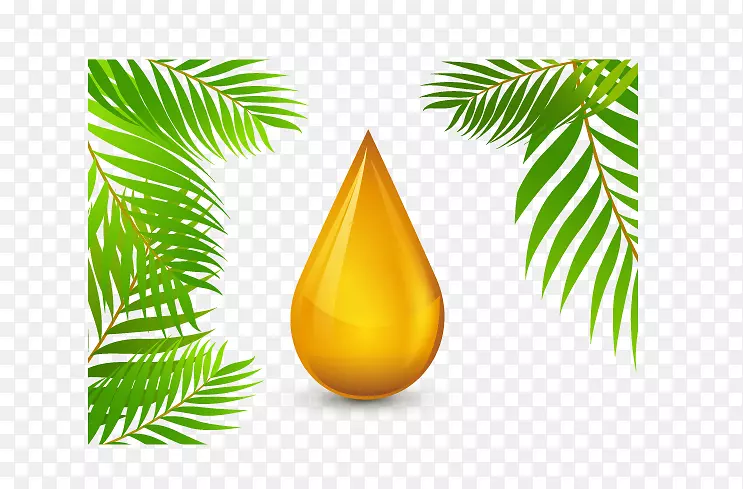 可持续棕榈油圆桌会议橄榄油金液滴
