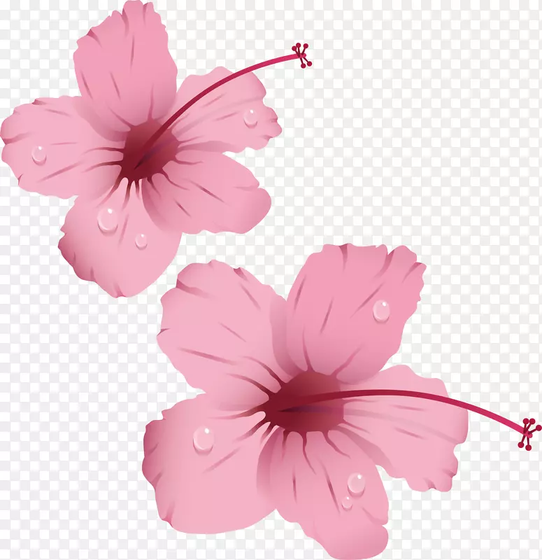 粉红花玫瑰剪贴画-水滴花