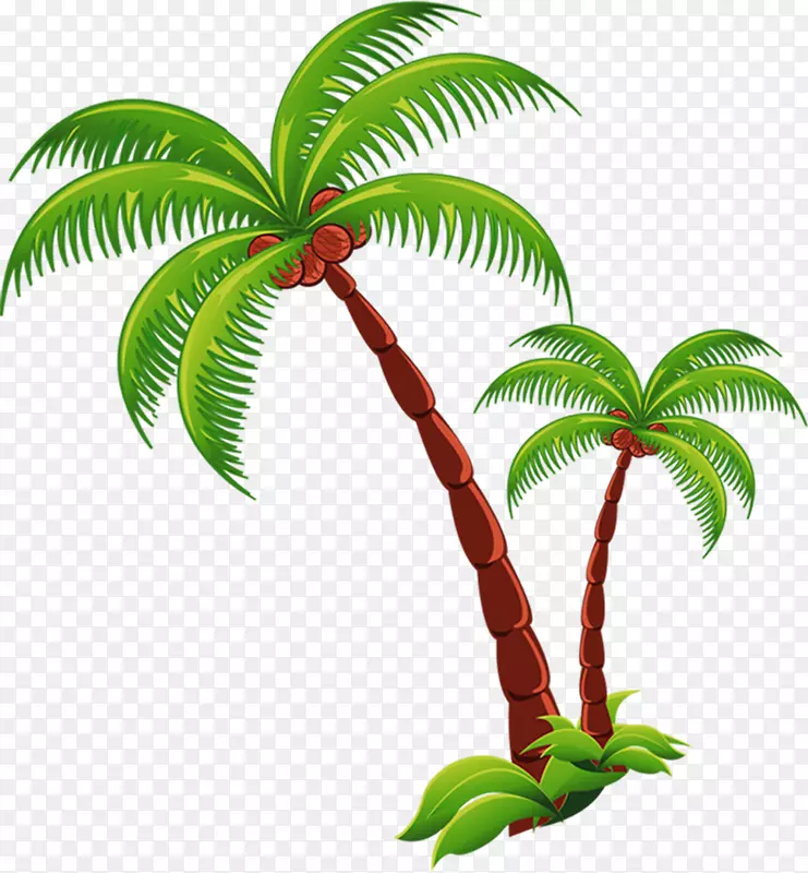 椰子滩-椰子树