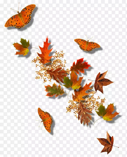 秋季画框剪贴画-落叶和蝴蝶