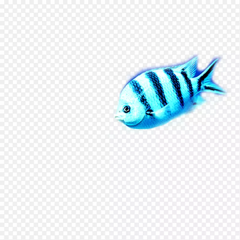 绿松石鱼型