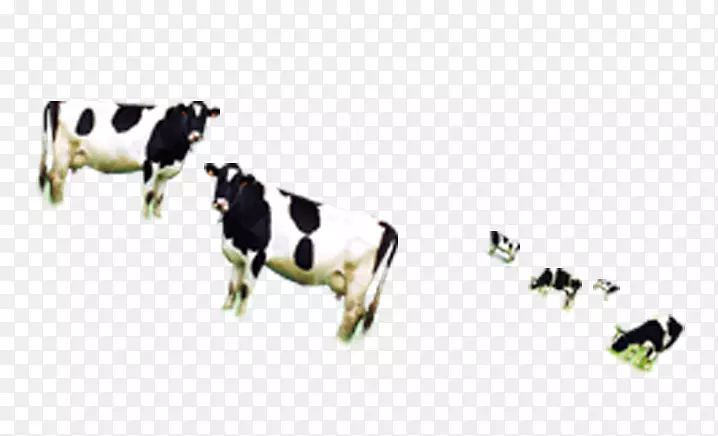 奶牛、山羊、家畜.奶牛