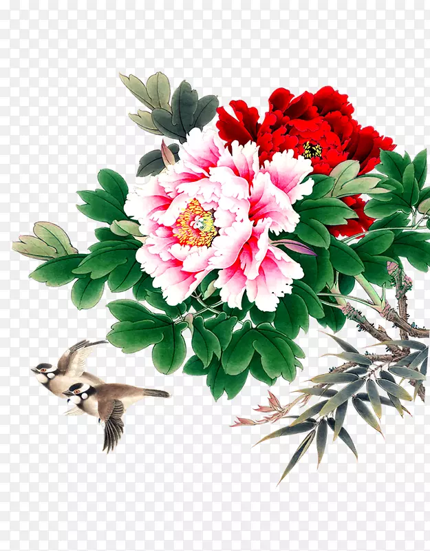 牡丹花鸟画-传统菊花