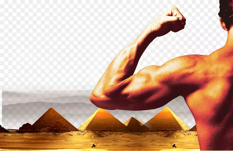 肌肉管理企业产业-金字塔背景