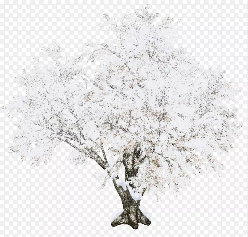 圣诞树-美丽的雪树