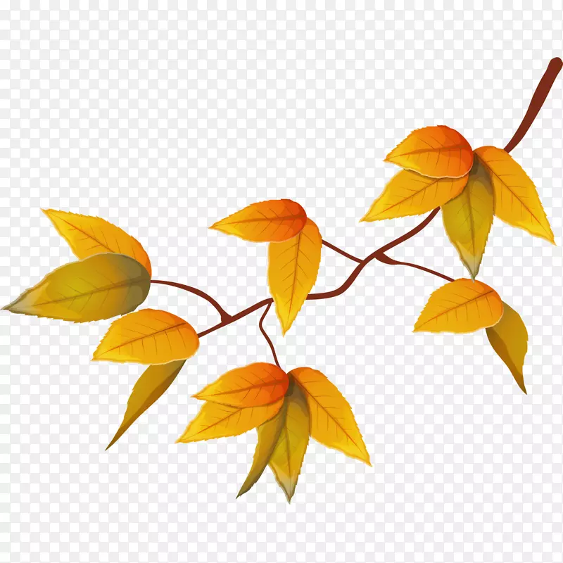 黄色秋季土坯插图-黄色秋叶