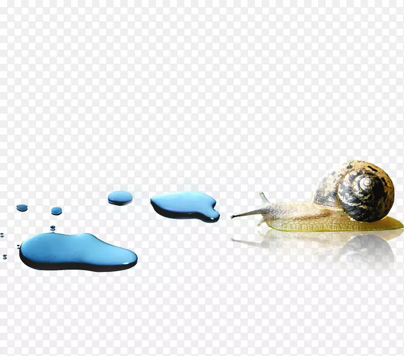 蜗牛星足螺-蜗牛