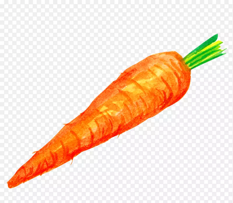 胡萝卜蛋糕蔬菜插图-胡萝卜