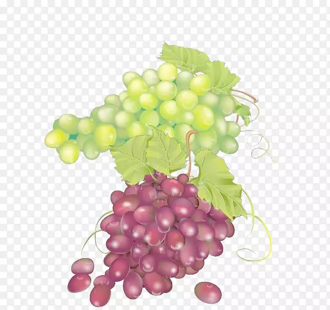 葡萄汁无核果红葡萄绿葡萄