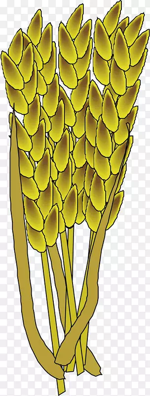 欧式小麦