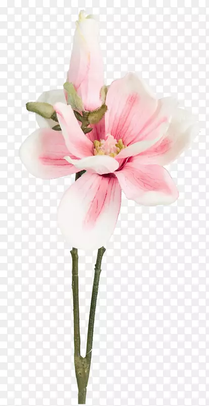 花束花瓣-有创意的花束框架，美丽的粉红色花瓣。